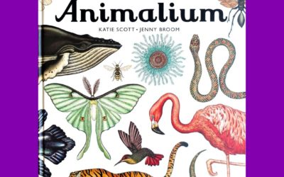 Animalium