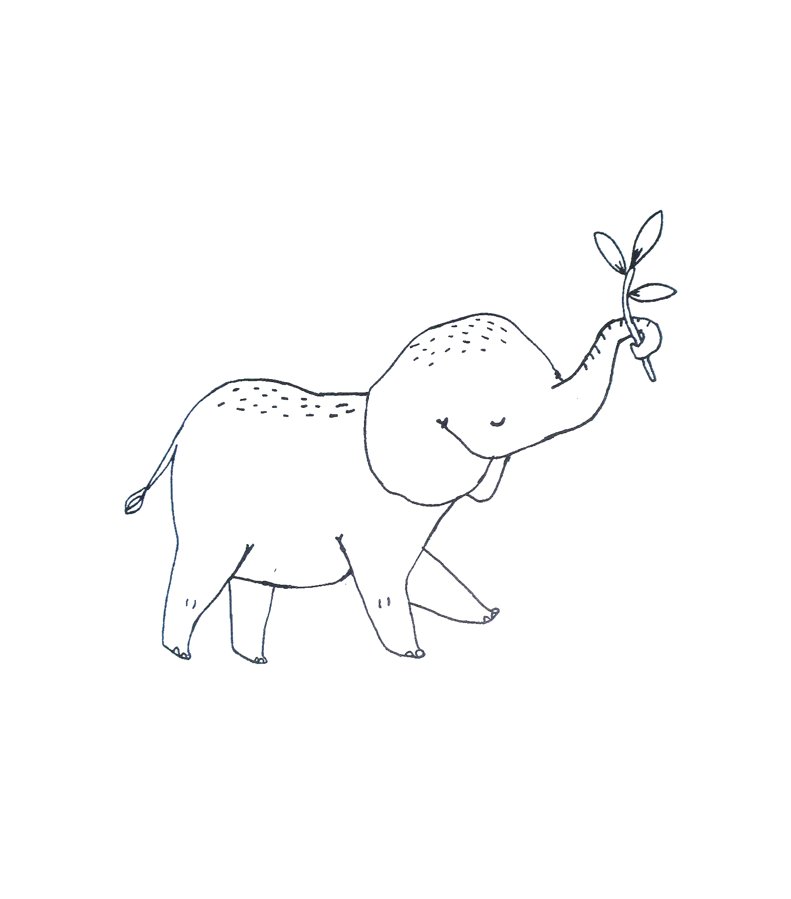 La-petite-encyclopedie-illustree-des-bebes-animaux-bebe-elephant