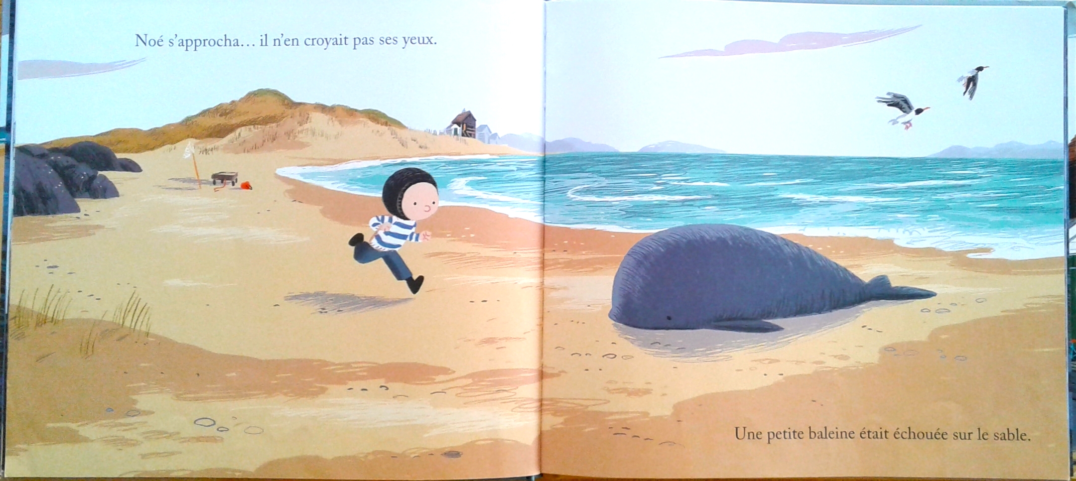 L-enfant-et-la-baleine-Rencontre-sur-la-plage