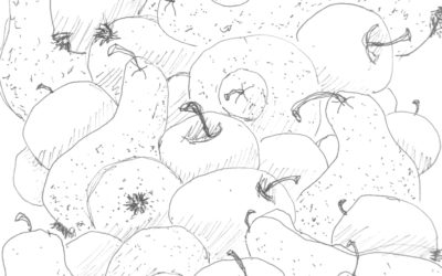 Carnet de croquis : Pommes-Poires #5