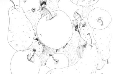 Carnet de croquis : Pommes-Poires #6