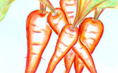 Carnet de croquis : Légumes #2
