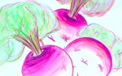 Carnet de croquis : Légumes #3