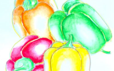 Carnet de croquis : Légumes #4